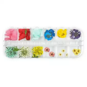 Pearl Nails Dísz szárított virág box- B típus